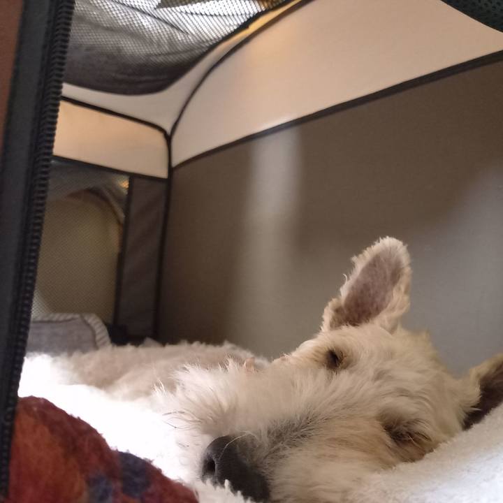 22b5a0bd 279c 4c63 b301 6dc00a496f54 1649893117637