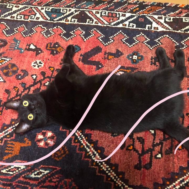 22b5a9e2 7c08 4d5a 9e6e b352fed376de 1558264238587