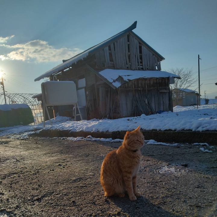 22b5b0b4 5974 48b3 bcd8 562fec657002 1679177650812