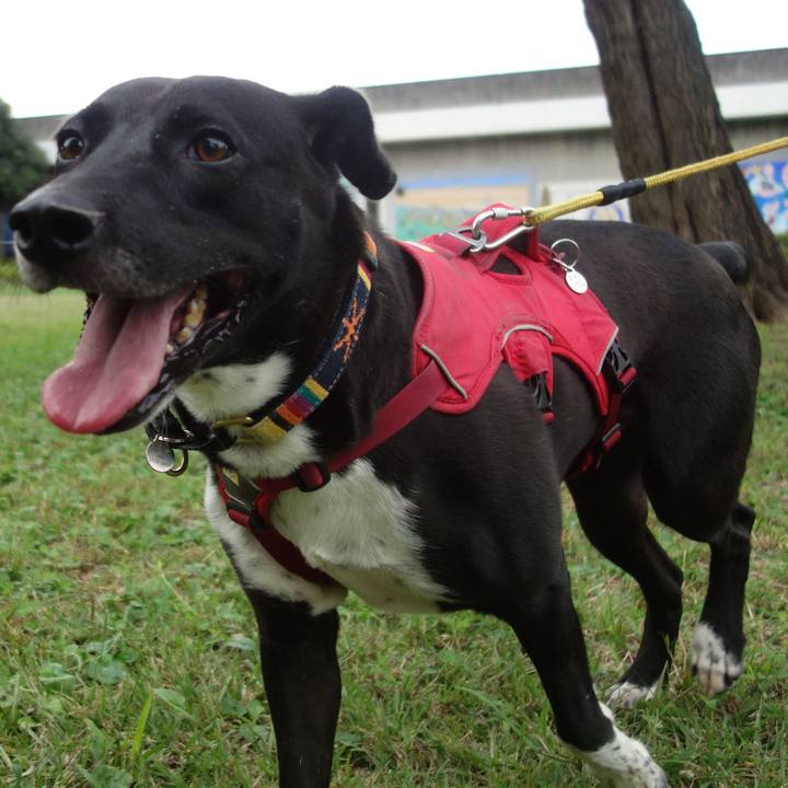 22b5bedb b680 4297 988e a8539baf5ec6 1602633858036