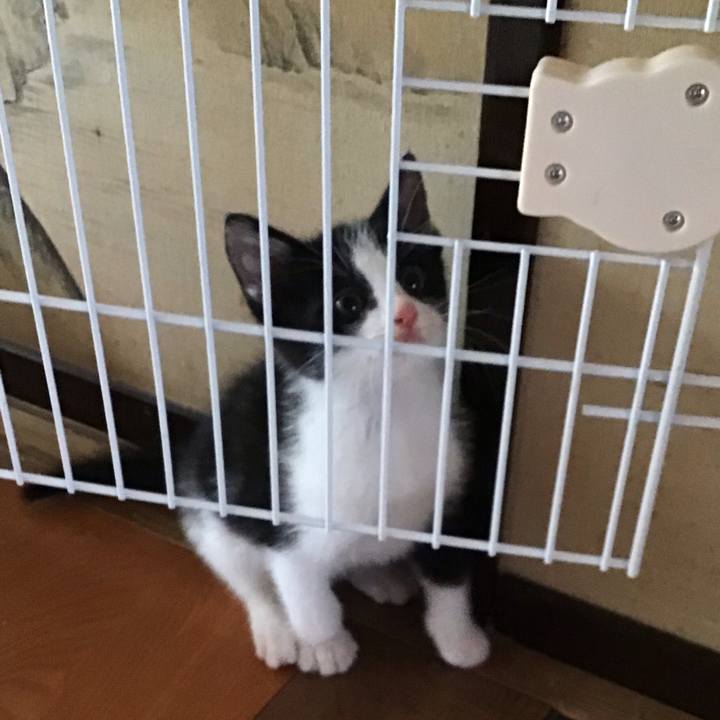 22b5eccd 3a65 410e 8135 2e7712c425ec 1623568844580