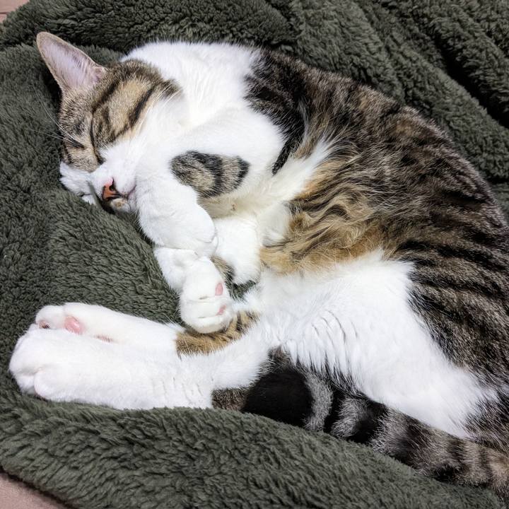 22b5f66a 3467 48a2 a9f1 5245c87d782b 1696926904606