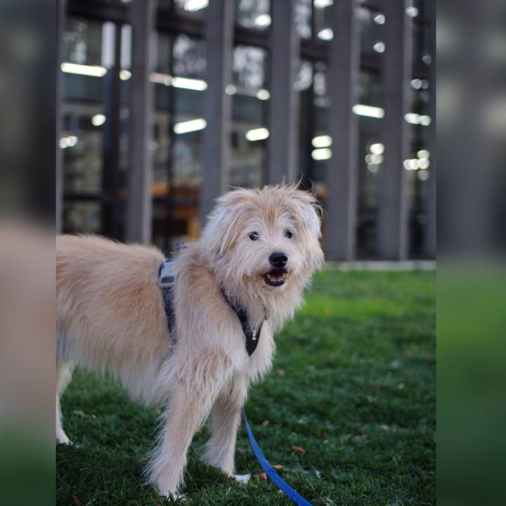 22b60100 0679 408a b16f 316cd9540272 1633917184159