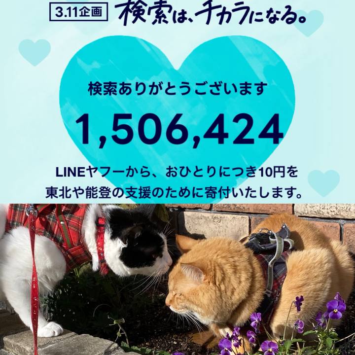 22b604fd 4843 4ef7 80e5 f0dcf8e6dc8f 1710112178398