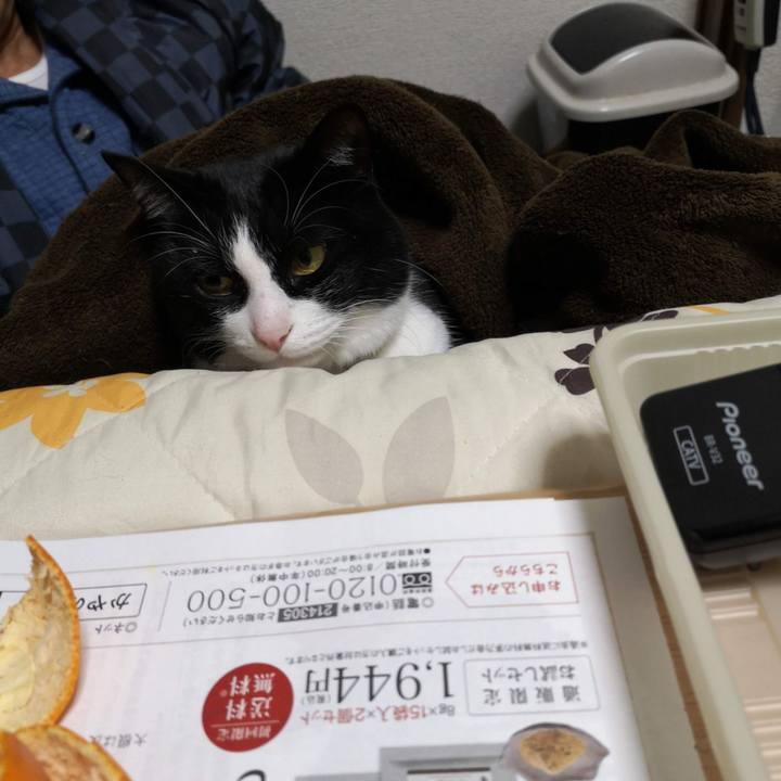 22b617c8 de8a 4b77 8538 e4ed1d843579 1639714834047