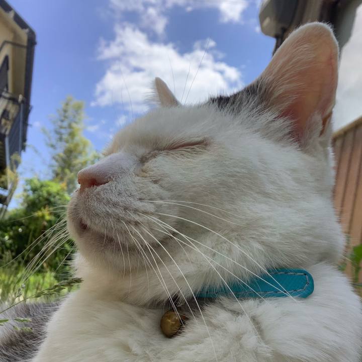 22b62058 a6b0 465e b889 ced4699bf579 1622347712089