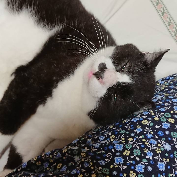 22b65dcf 837c 4826 8594 2b919ec7843e 1631436871825