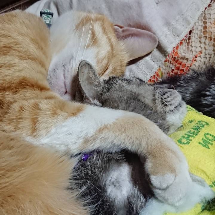 22b65fb5 eaed 41d5 aa99 b183b914edb8 1586440311962