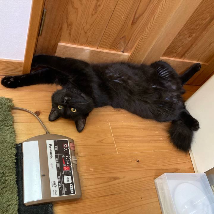 22b66353 f9b9 48c3 88c6 86d31f799544 1712117071419