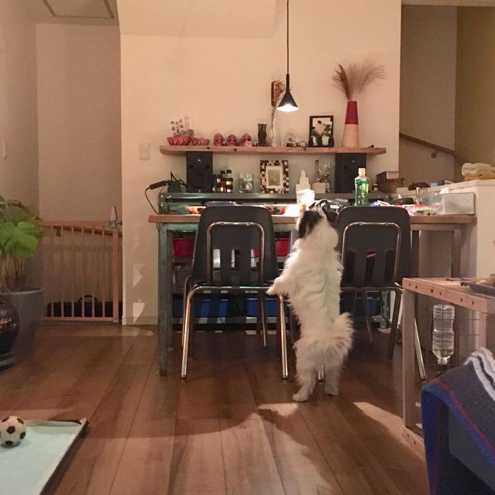 22b66709 03e2 4379 ba56 a94739af8822 1515321659889