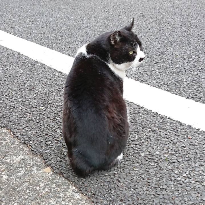 22b667bd 37b1 4443 a0bd bc39a95718d0 1678956300466