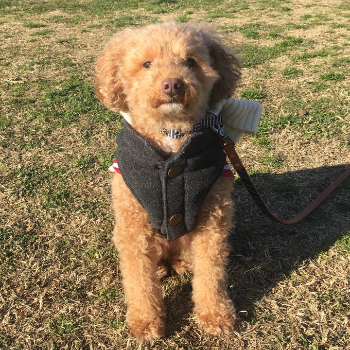 22b6909b da85 4c90 8749 bb0aa5a0e38e 1546216427223