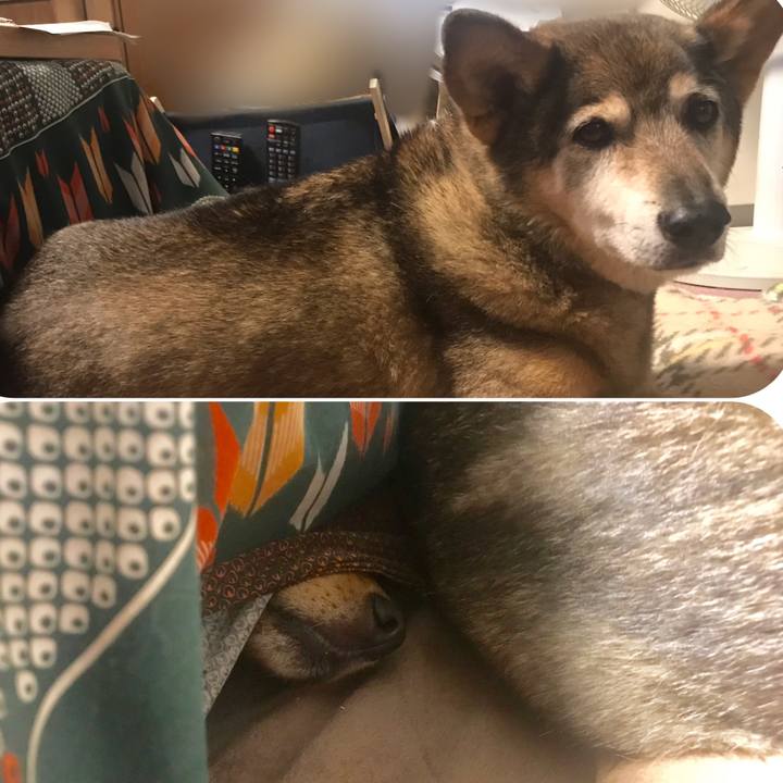 22b70460 97ab 4a9a 8e6e eeecb4981d63 1559946752232