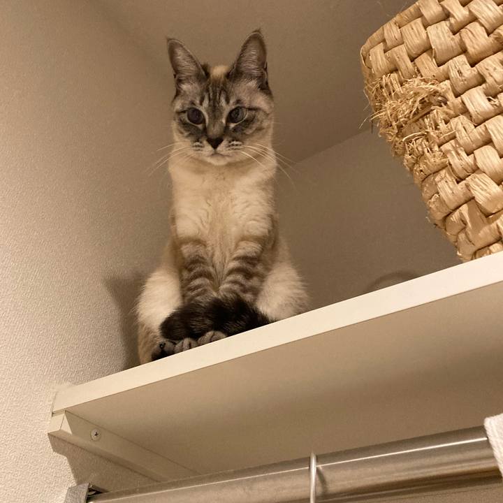 22b7163b 3ccb 411a 9329 40f9f3676e89 1613220221499