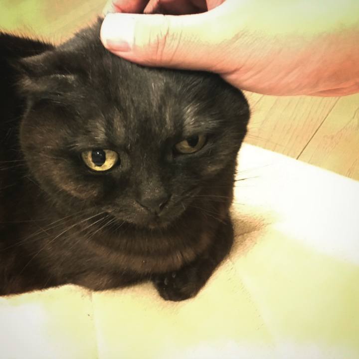 22b78a55 4762 4697 b6d8 20d1e531f2ed 1519817847269