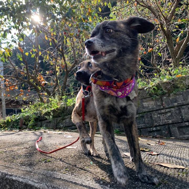 22b78d84 8d48 4d65 983d 29440808d79b 1572175401494