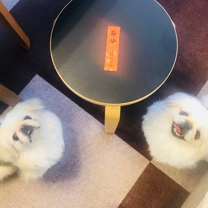 22b7a9d6 0aa5 4d68 b3a8 b2e3f5f82ce8 1612261475603