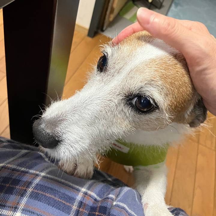 22b7d56a 21b4 4c2a bf90 cc2c91f31e9c 1730416142715