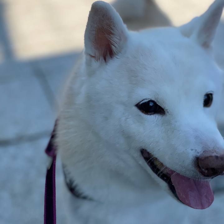 22b7d5d9 b2d2 4744 9094 81f59aa7d0e3 1749013682493