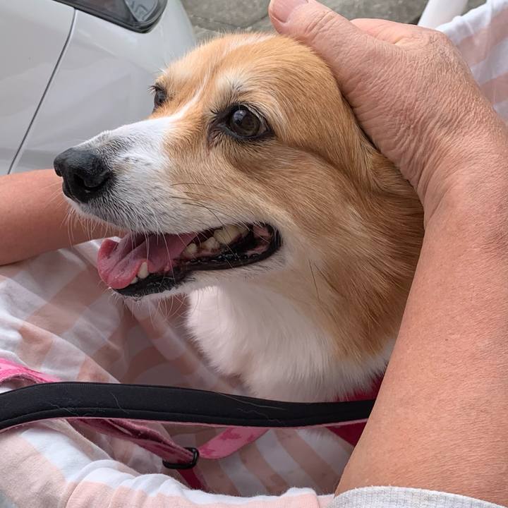 22b7f11f 26a6 4134 a8e0 1a24f6e693c5 1713669280376