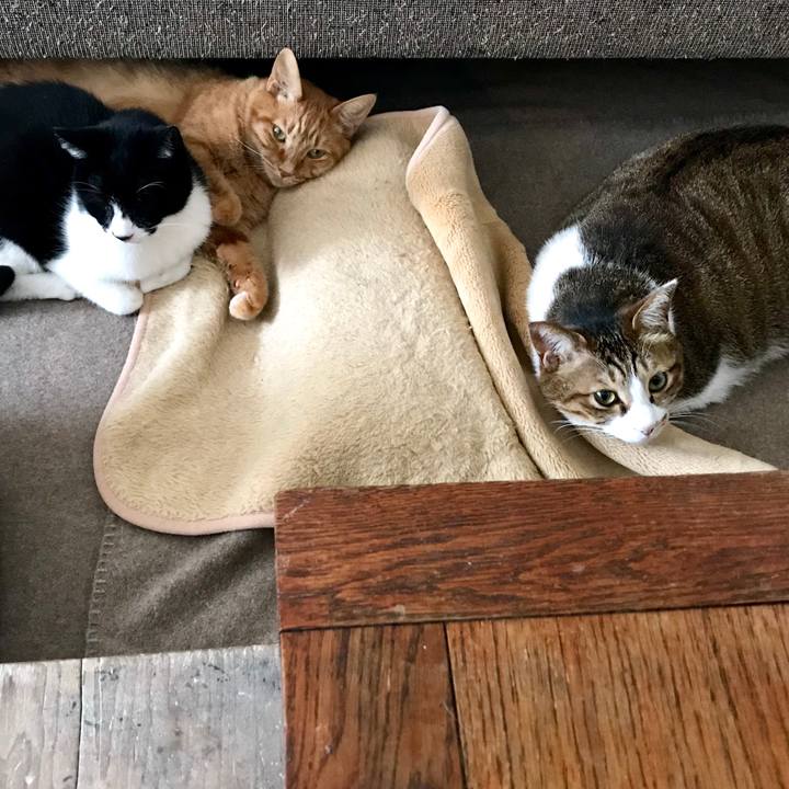 22b80330 017d 43f9 b633 7f6fb930abb9 1555033369134