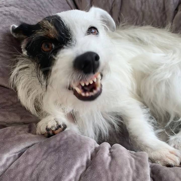 22b8404c afc4 494e a3d8 2fd870fb2924 1594363154247