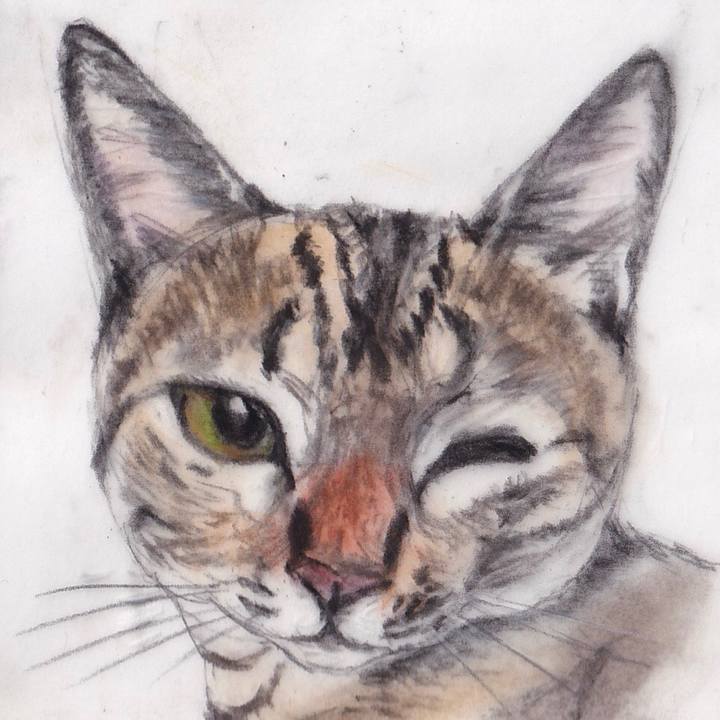 22b84a9f 999e 4ae1 ab6e 2267073e51f9 1673620014606