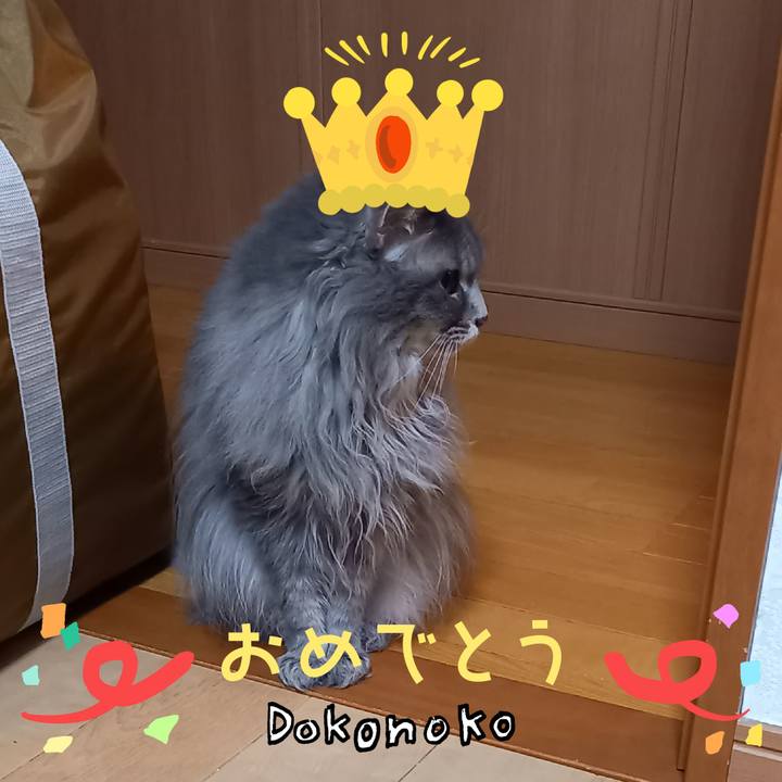 22b84ca8 468c 455d b46b 409641abfbd3 1686001044159