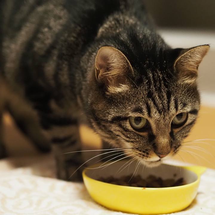 22b862c8 a0fe 4c6f 96f7 54732763d27d 1630402752857