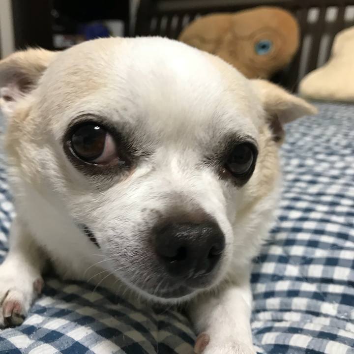 22b86fb2 004c 4ef3 b968 245bbd18fcc4 1536848421481