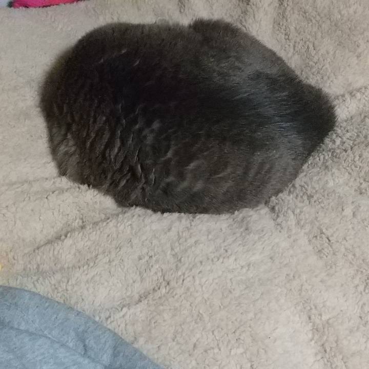 22b89125 de2f 4bfa 9c1c e3a6e0449699 1645543585350