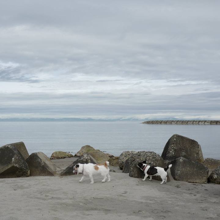 22b8bd37 637a 47ae 8917 1a211a1a36f3 1556683931029