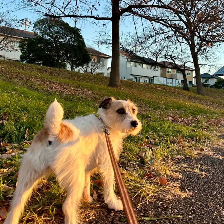 22b8e0d3 dc2a 4211 b37f e0c7fd21eeef 1736496712945