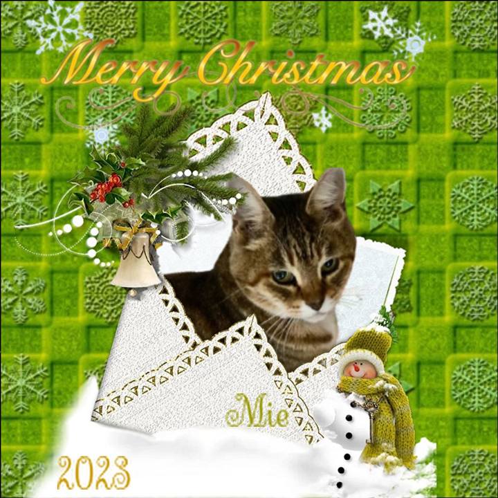 22b8fe1a 0152 4336 baab 14471ee016b7 1702113988917