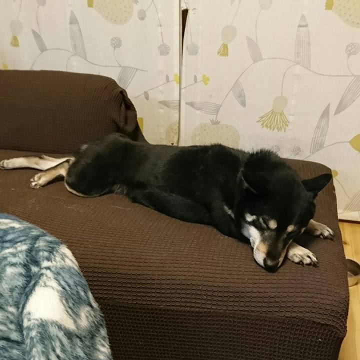 22b922fc 1c9b 48e4 a58f 835528a6f0e2 1517047014557