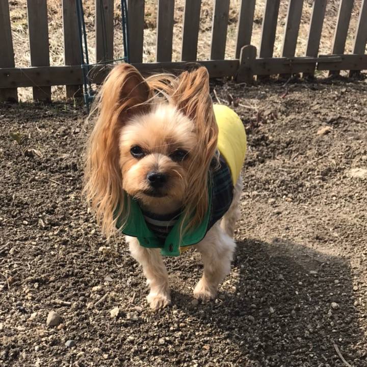 22b92716 a8c7 4bf0 9320 14e302d6e87f 1585300596784