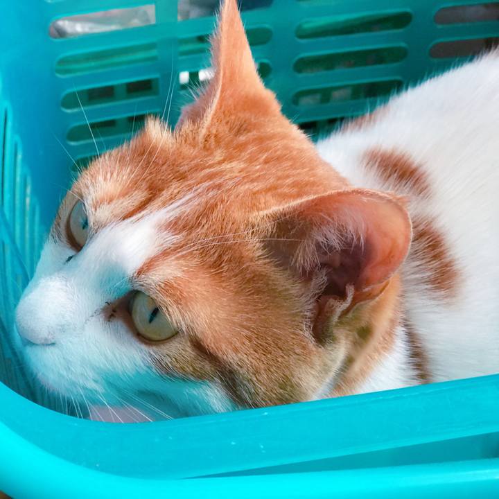 22b946ad 9bc5 4e7a 887e 5bb3842e7ac8 1526880119515