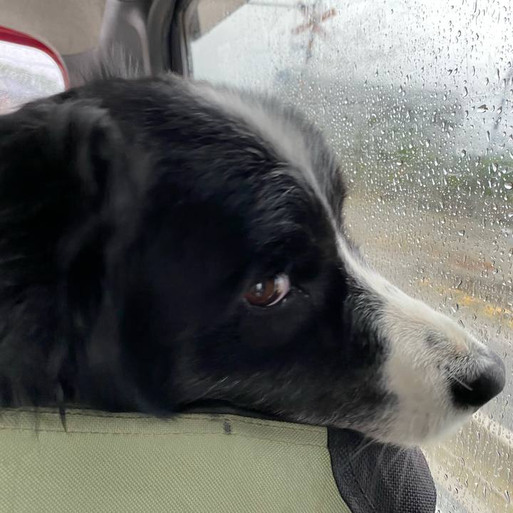 22b95e0c 0cb4 4087 9640 b35f783fb0dd 1620338909390