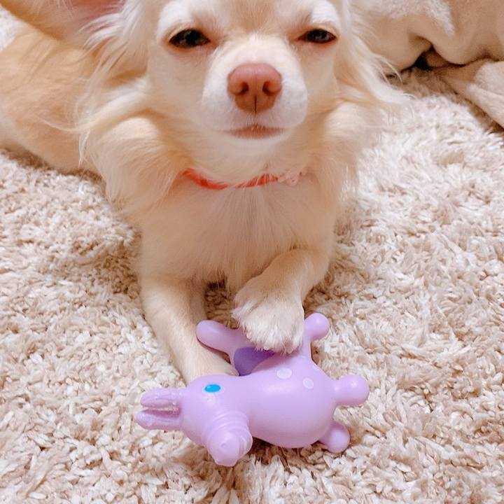 22b974b2 6db7 471a b306 e5edd6379c4e 1625278751204