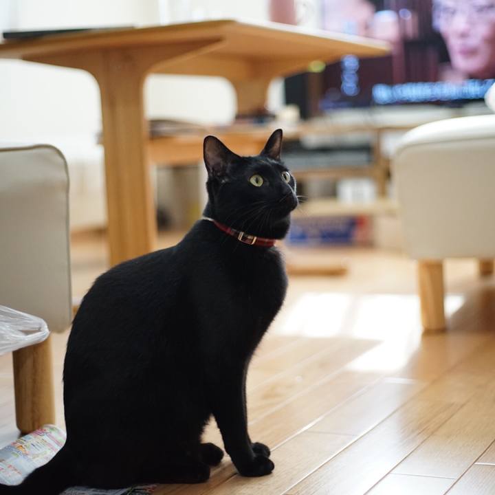 22b9af56 95c9 405d 9388 c76fa5cf1ee9 1523589190317