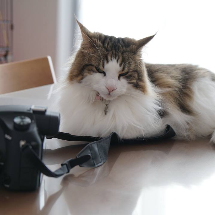 22b9e90e ad86 4880 8f7b 9c5730474e1b 1558342168476