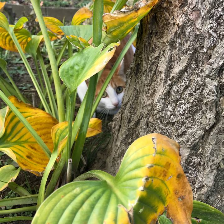 22b9fc19 c356 4748 926a 4740ac0bd8d8 1509154878626