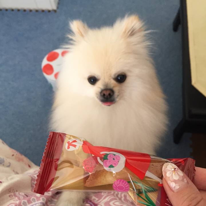 22ba5382 fe25 4b4b b54f 80c00a1c3706 1522632605068