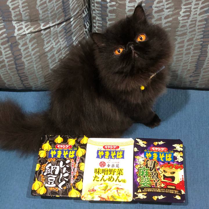 22ba7bf7 7ba2 4e1a 84f5 3c2e2a22b7c6 1636892075274