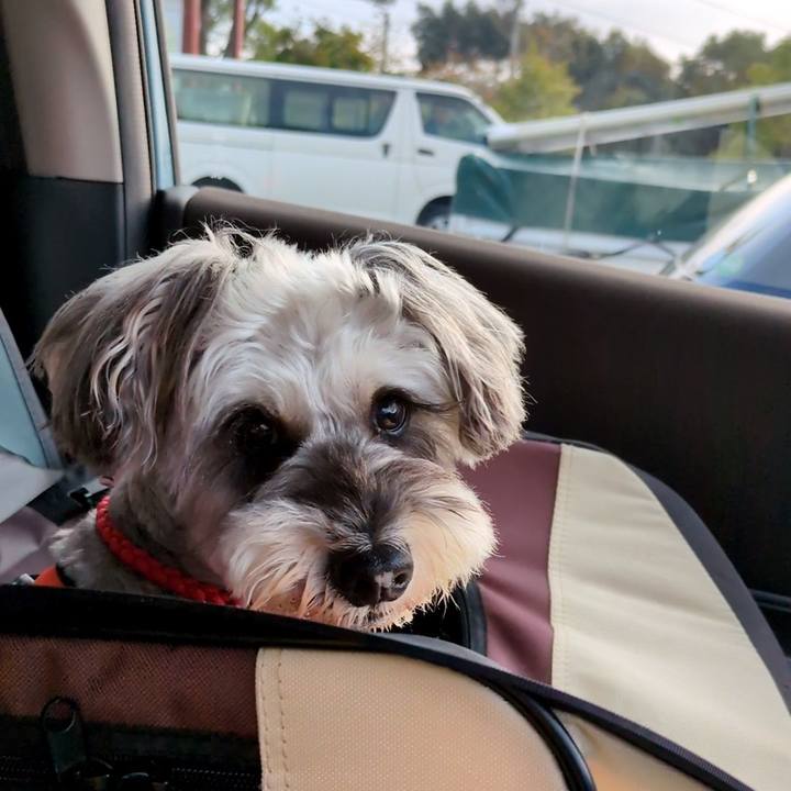 22bab212 df97 4169 93e6 2644456affe6 1760400580696