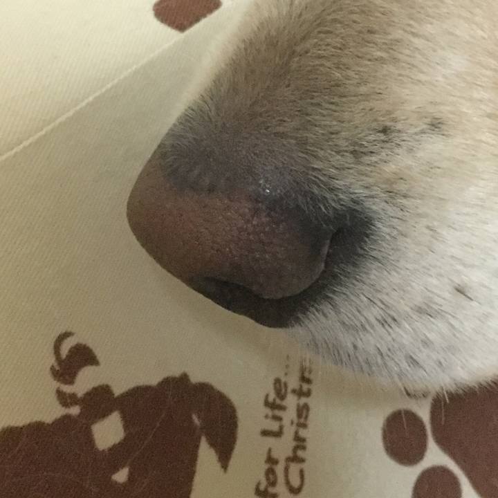 22bab46a 0005 4725 a6e2 58c29246d285 1523447998404