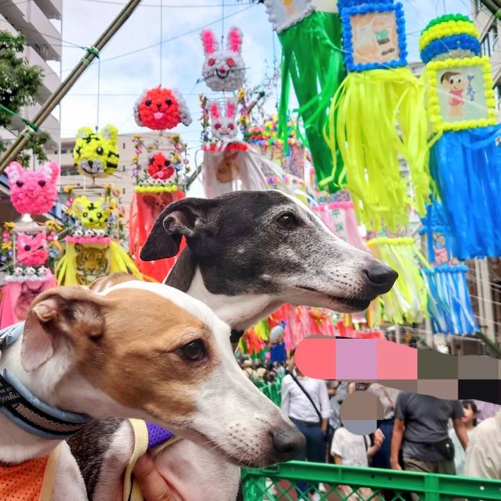 22bad5a3 c4b8 4602 9687 efb7b2d2f7e3 1688806637532