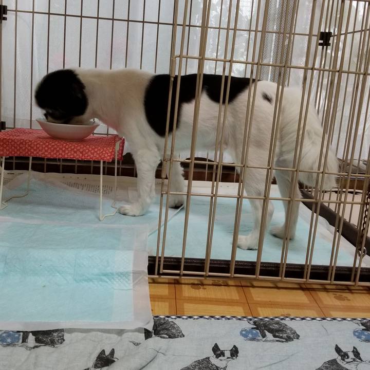 22baf52c 4d63 478f b9e6 61b13cee556b 1563186314651