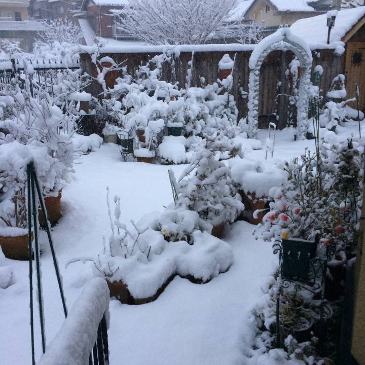 22bb74cb 87a3 400a ba1c f9e9dc455fc3 1516607868821