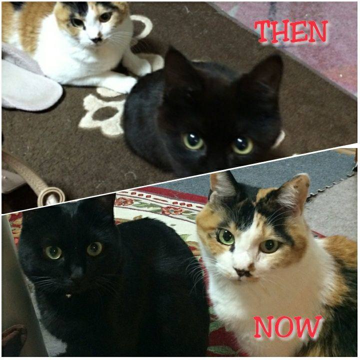 22bb784d 9a25 4dba 89d7 e56bd8b86177 1516014236429